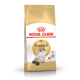 Royal Canin Dry Food Breed Nutrion Ragdoll 2kg